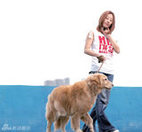 组图：刘虹翎与爱犬拍写真 呼吁关注流浪动物