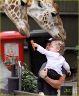 幻灯图：妮可基德曼携女游玩动物园向长颈鹿喂食