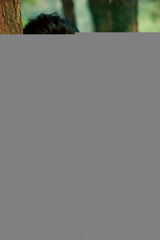 组图：张大静清新写真片出炉 大方女人显雅致