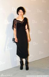 幻灯图：汤唯张曼玉周迅塞隆等众女星闪耀派对