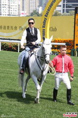 组图：甄子丹骑马潇洒 爱驹或取名“爱诗诗”