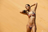 组图:巴西名模米歇尔沙漠写真烈日下秀健美胴体