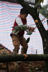 组图：爸爸去哪儿第六期海量图 萌宝帅爸卖菜忙