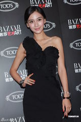 组图：刘嘉玲暂无宝贝计划 称华仔与小龙女有缘