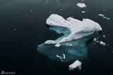 组图：成方圆南极摄影作品 冰雪世界圣洁