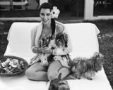 组图：准妈妈金-卡戴珊魅力大片狂野迷人