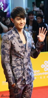 组图：《太平轮》剧组压轴红毯 蔡琳甜蜜挽男友