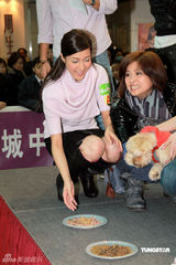 幻灯：《老友狗狗》美食大作战 收视有望创新高