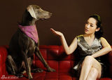组图：车永莉拍另类写真 携魏玛犬登杂志