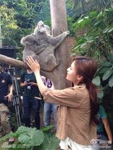 组图：田亮全家亲子游 森碟摸蟒蛇显女汉子本色