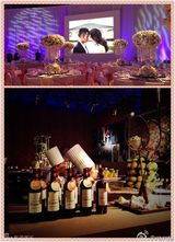 组图：林丹谢杏芳婚礼现场直击 郎才女貌羡煞旁人