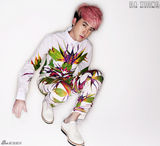 组图：张睿全新时尚写真 印花衬衣个性前卫