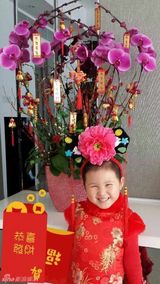 组图：众星欢乐拜大年 森碟可爱林依晨异国祝福