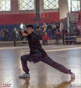 组图：张震为《一代宗师》苦练八极拳