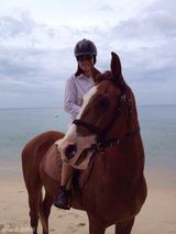 组图：众星欢乐拜大年 森碟可爱林依晨异国祝福