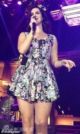 组图：打雷姐华丽皮草亮相 长发妩媚眼线撩人