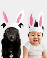 组图：台湾流浪狗被跨海收养 萌狗萌娃照爆红