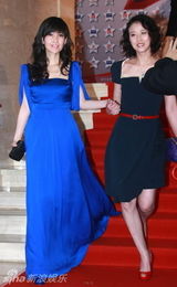 幻灯图：2009《娱乐大典》红毯星光闪烁