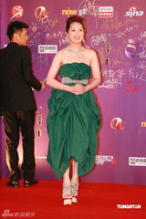 幻灯：香港金像奖颁奖红毯 杨千嬅绿裙典雅