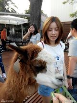 组图：徐怀钰度假兴奋合影草泥马 36岁仍似少女