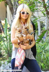 组图：帕丽斯-希尔顿怀揣两爱犬心花怒放玩得欢 