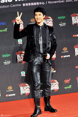 组图：MAMA红毯百张美图中韩明星争艳 韩彩英典雅