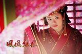组图：电视剧《凤凰牡丹》精彩剧照