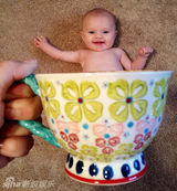 组图：杯子宝宝创意照走红 妈妈齐呼卡哇伊