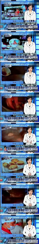 组图：台湾节目常误读大陆 言论让人大跌眼镜