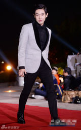 组图：李准灰西服帅气 红毯挥手显亲和