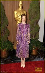 组图：奥斯卡提名午宴 准影后们盛装竞艳