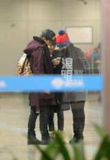 组图：陈思诚佟丽娅紧急回京 连夜录歌筹划婚礼