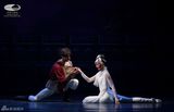 组图：舞剧《马可-波罗》首演 呈现高品质艺术盛宴