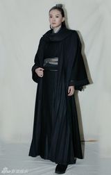 幻灯图：王艳《流星蝴蝶剑》风情万种 高老大魅力足