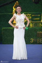 高清组图：群星华服亮相北京电影节蓝毯