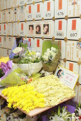 组图：张国荣九年死忌 日本歌迷带千羽鹤拜祭