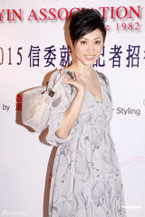 高清图：赵雅芝亮相风采依旧 力挺新港姐没黑幕