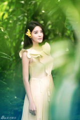 组图：张璇森林唯美写真 清新脱俗宛如仙子