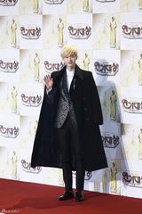 独家高清：李敏镐等亮相2013SBS演技大赏红毯