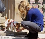 组图：坎蒂丝街头拍写真 裙摆飞扬宠物狗抢镜