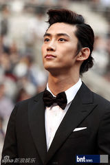 组图：少女时代等众星亮相2012梦想演唱会红毯