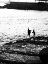 高清图：苏有朋Hebe等名人公益摄影活动作品展示