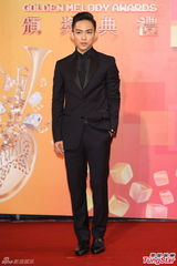 群星亮相金曲奖红毯 蔡依林美腿梁静茹性感(图)