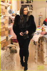 组图：卡戴珊奢华皮草加身 买童装血拼母爱浓浓