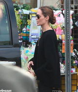 组图：朱莉皮特带娃度假 分头游玩温情十足