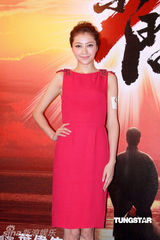 幻灯图：《叶问2》主题曲发布 甄子丹熊黛林齐聚