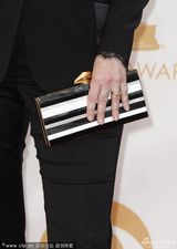 组图：《欢乐合唱团》简-林奇干练亮相艾美红毯