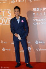 群星闪耀嫣然基金晚宴 王菲旗袍装与李亚鹏恩爱