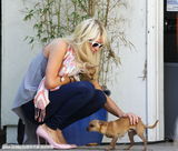 组图：帕丽斯-希尔顿怀揣两爱犬心花怒放玩得欢 