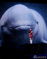 组图：张靓颖北京个唱带伤上阵秀热舞